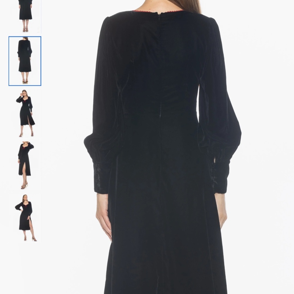 Alexia Admor Willa Bishop Sleeve Velour Dress, size 10 - Picture 2 of 11